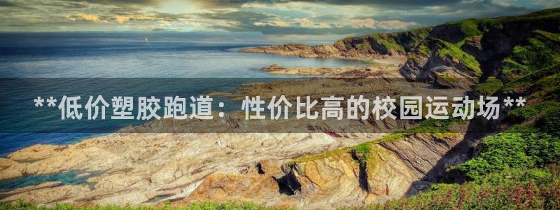 谈球吧是黑台子吗知乎小说:**低价塑胶跑道:性价比高的校园运