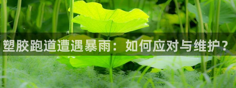 谈球吧综合官网app:塑胶跑道遭遇暴雨:如何应对与维护?