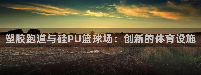谈球吧app体育下载:塑胶跑道与硅PU篮球场:创新的体育设施